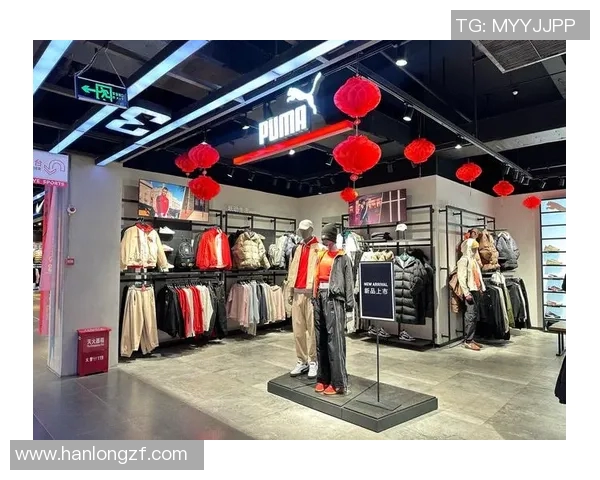 全球最受欢迎的十大体育品牌揭晓运动爱好者必知的选择与趋势